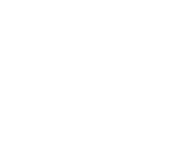 Beijing Cuisine